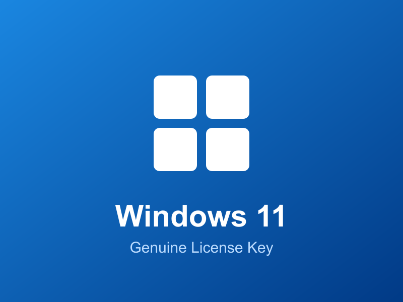 Windows 11 License